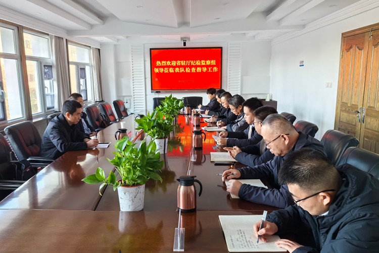 省紀(jì)委監(jiān)委派駐省工信廳紀(jì)檢監(jiān)察組蒞臨我隊(duì)調(diào)研指導(dǎo)工作